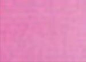Pinta Perla Paint Fuchsia