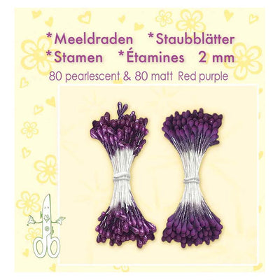 Stamen - Red Purple