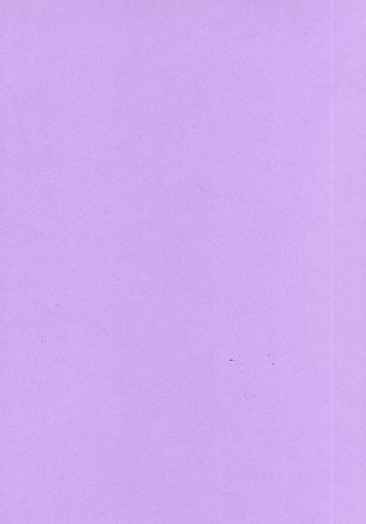 Foundation Cardstock  25 shts 220 gsm - Mauve