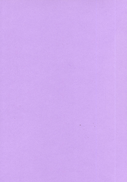 Foundation Cardstock  25 shts 220 gsm - Mauve