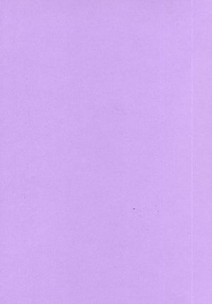 Foundation Cardstock  25 shts 220 gsm - Mauve