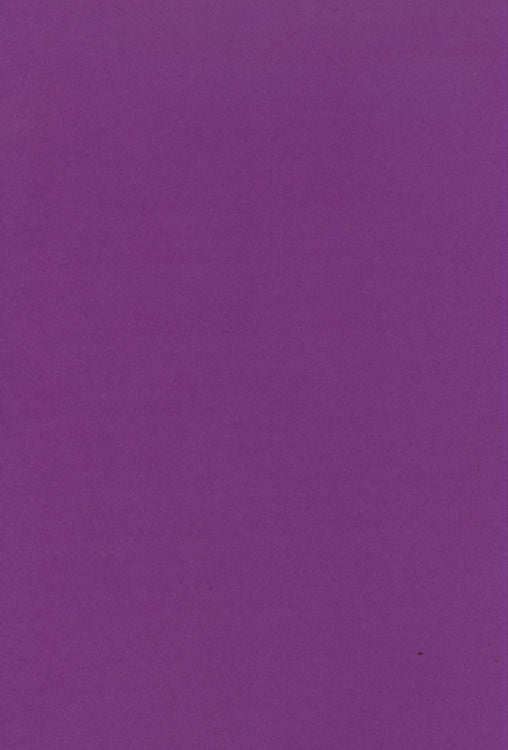 Foundation Cardstock  25 shts 220 gsm - Amethyst
