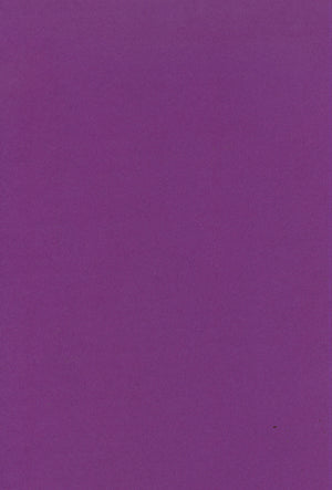 Foundation Cardstock  25 shts 220 gsm - Amethyst