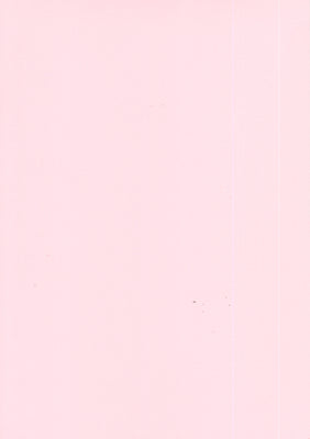 Foundation Cardstock  25 shts 220 gsm - Pink