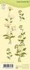 Clear Stamp Flower Swirls