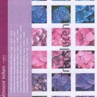 Vellum Hydrangea 3 colours (5 sheets)