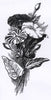 Joy! Crafts -Petunia Stamp