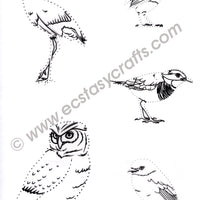 Joy! Crafts - Clear Stamp - Dot-O-Lines Birds