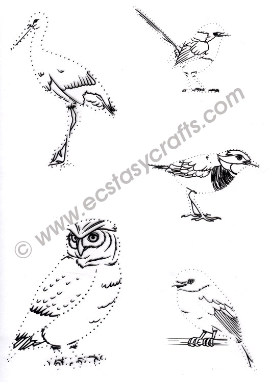 Joy! Crafts - Clear Stamp - Dot-O-Lines Birds