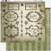 Couture Creations - 12 x 12 Paper (5 sheets) - Dragonfly Phrases