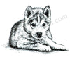 Clear stamps Animals series "puppy"