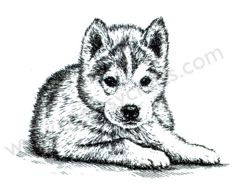Clear stamps Animals series "puppy"