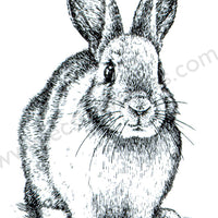 Clear stamps Animals-serie "rabbit"
