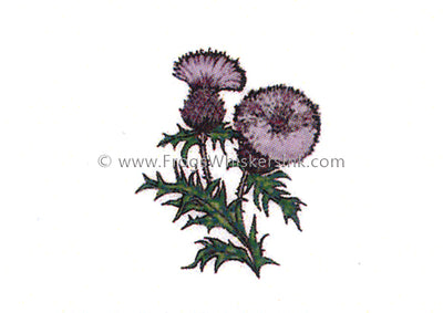 Frog's Whiskers Stamps - Thistle SM