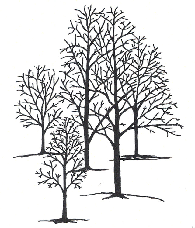 Frog's Whiskers Stamps - Sugar Bush Stand