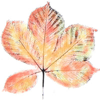 Frog's Whiskers Stamps - Horshoe Chestnut