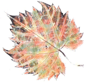 Frog's Whiskers Stamps - Horshoe Chestnut Single