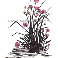 Frog's Whiskers Stamps - Rocks & Flowers