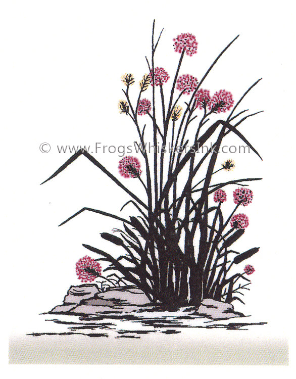 Frog's Whiskers Stamps - Rocks & Flowers