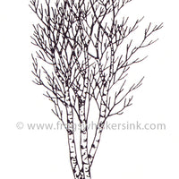 Frog's Whiskers Stamps - Birch Tree Sm Cling Mount Stamp