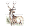 Frog's Whiskers Stamps - Highland Stag small