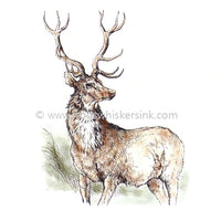 Frog's Whiskers Stamps - Highland Stag small