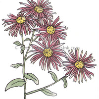 Frog's Whiskers Stamps - Asters Open