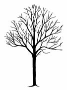 Frog's Whiskers Stamps - Picnic Tree