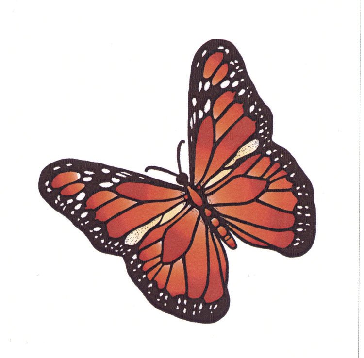 Frog's Whiskers Stamps - Summer Butterfly