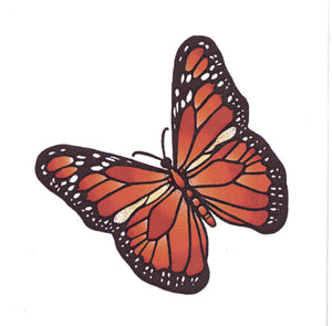 Frog's Whiskers Stamps - Summer Butterfly