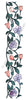 Frog's Whiskers Stamps - Tulip Border Cling Mount Stamp