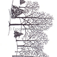 Frog's Whiskers Stamps - Backwoods