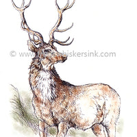 Frog's Whiskers Stamps - Highland Stag