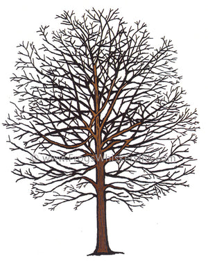Frog's Whiskers Stamps - Backyard Tree