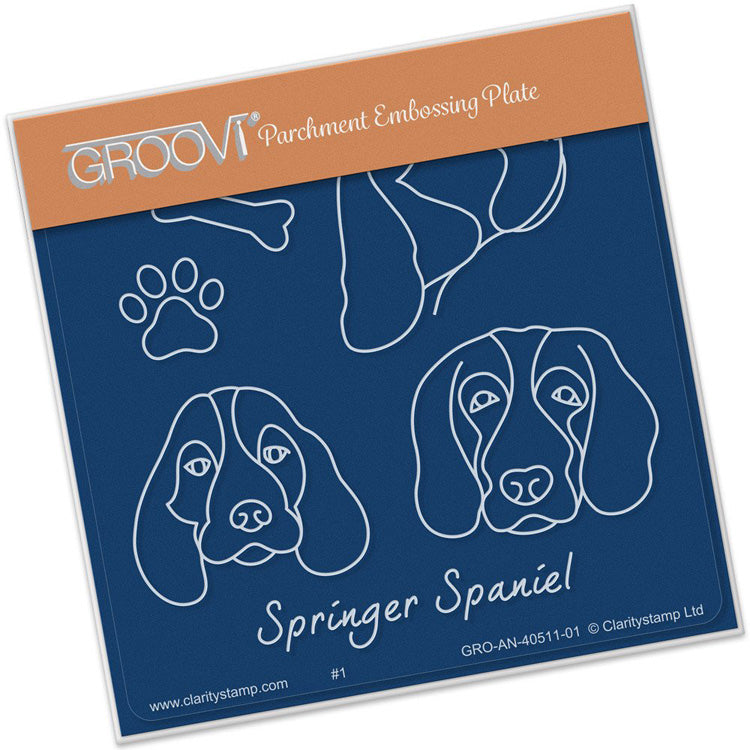 Groovi Template - Springer Spaniels