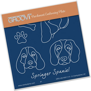 Groovi Template - Springer Spaniels