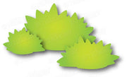 Dee's Distinctively Dies - Garden Shrubs