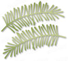 Dee's Distinctively Dies - Pine Sprig 3