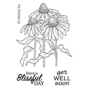 Woodware Clear Stamps - Echinacea