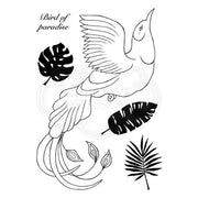 Woodware Clear Singles Paradise Bird