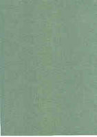 Cardstock 25 sheet package-Green