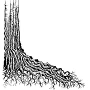 Lavinia Stamps - Tree Root