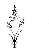 Lavinia Stamps - Field Grass