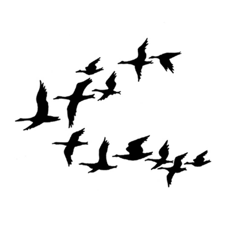 Lavinia Stamps - Ducks