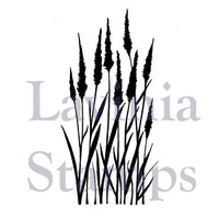 Lavinia Stamps - Meadow Grass