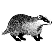 Lavinia Stamps - Badger