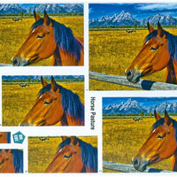Large Format - Horse Pasture