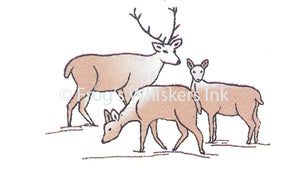 Frog's Whiskers Stamps - Deer Family