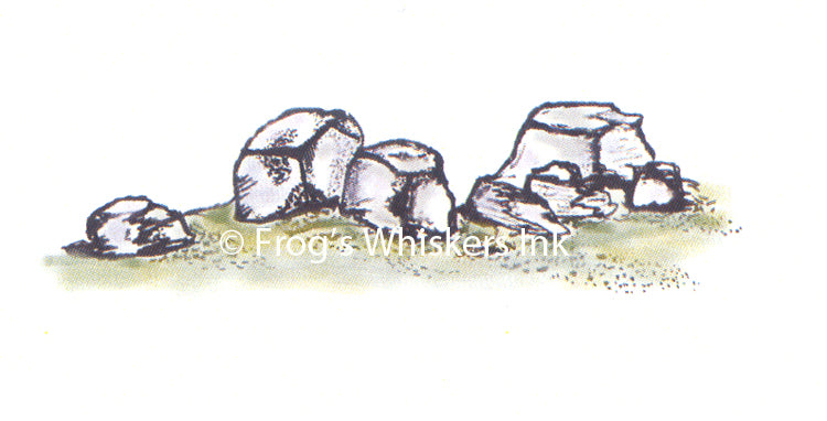 Frog's Whiskers Stamps - Rocks