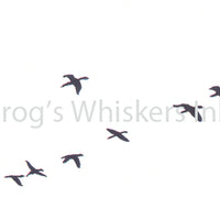 Frog's Whiskers Stamps - Flying Geese